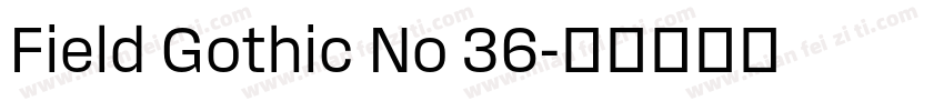 Field Gothic No 36字体转换